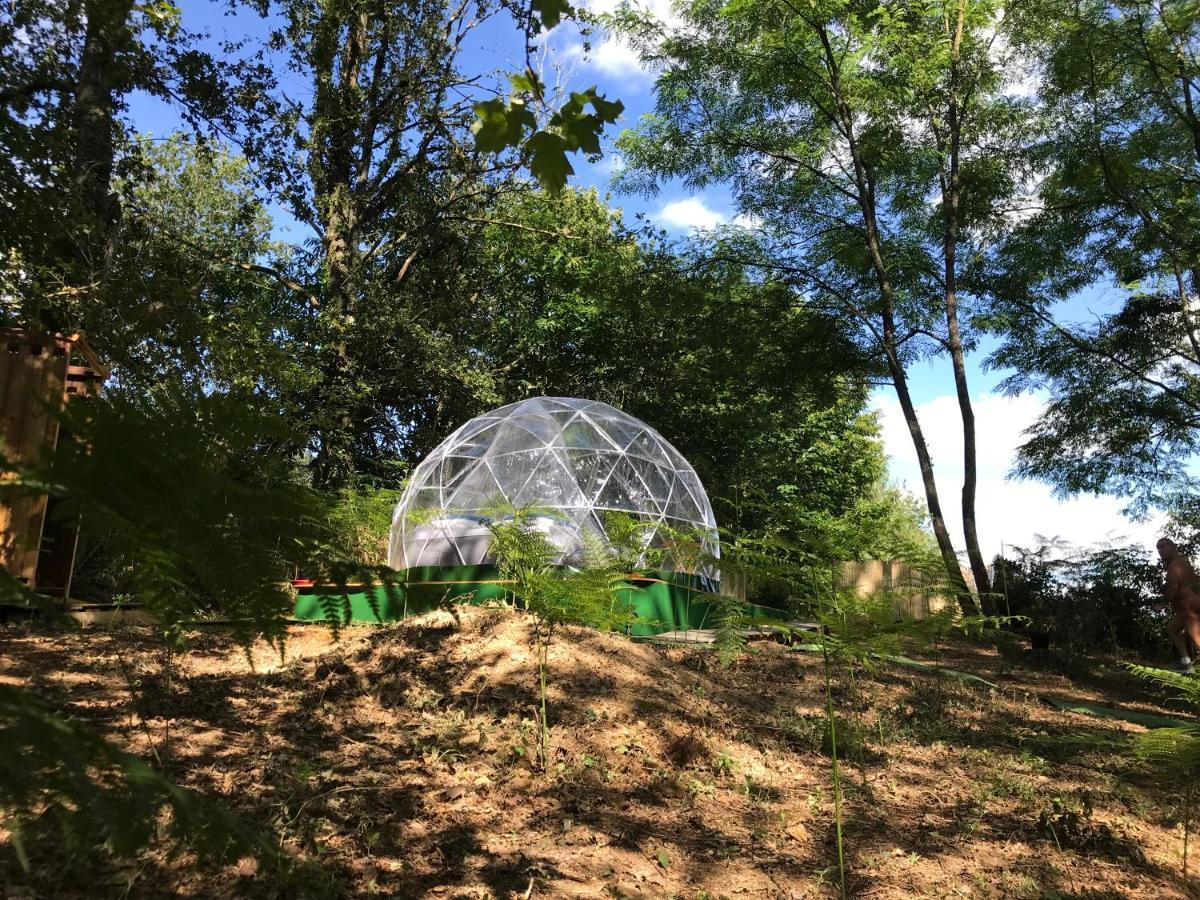 Bulle Etoilee En Nature Landaise Saint-Sever  Екстериор снимка