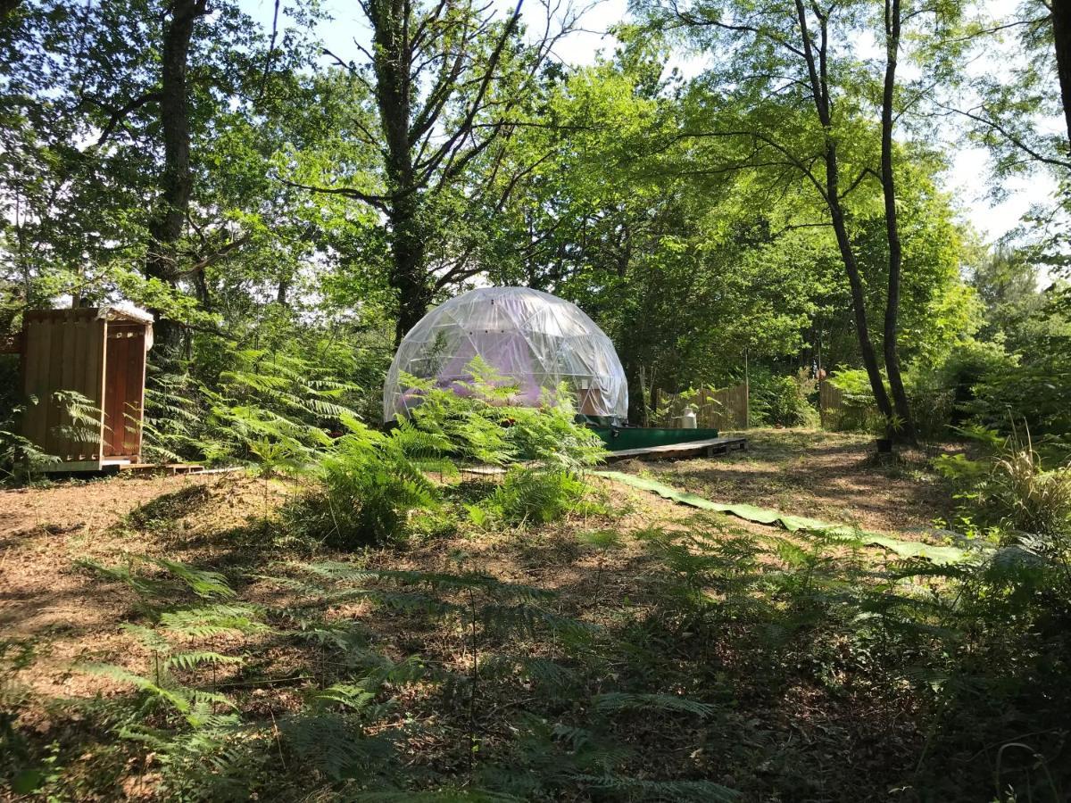 Bulle Etoilee En Nature Landaise Saint-Sever  Екстериор снимка